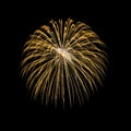 Brightly golden fireworks explode in the night sky Royalty Free Stock Photo