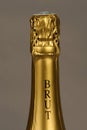 A brut Champagne bottle Royalty Free Stock Photo