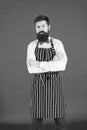 Brutal bartender. Bearded bartender in hipster style. Serious bartender wearing stylish work uniform. Restaurant bar