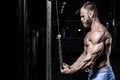 Brutal caucasian handsome fitness men on diet training triceps g