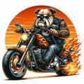 Brutal dog rides a motorcycle. Generated AI