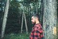 Brutal man with stylish beard and mustache wandering in woods. Side view lumberjack walking around forest. Environment Royalty Free Stock Photo