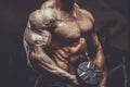 Brutal strong athletic men pumping up muscles workout bodybuilding concept Royalty Free Stock Photo