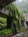 A Brutalist Monolith That is Living in a Temperate Rainforest Generative AI Royalty Free Stock Photo