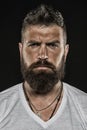 Brutality and masculinity. Man bearded hipster serious face close up. Brutal man with over suntanned skin face. Hipster Royalty Free Stock Photo