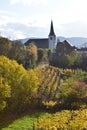 Bruttig-Fankel, Germany - 11 12 2020: yellow vineyards in front of the church Royalty Free Stock Photo