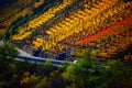 Bruttig-Fankel, Germany - 11 12 2020: colorful steep autumn vineyards at the roadside Royalty Free Stock Photo