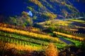 Bruttig-Fankel, Germany - 11 12 2020: bright autumn vineyards with a chapel Royalty Free Stock Photo