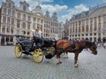 Bruxelles - Belgium Nov 2019: horse carriage in grand place waiting for tourists