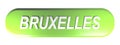BRUXELLES green rounded rectangle push button - 3D rendering illustration