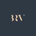 BRV abstract letter logo Royalty Free Stock Photo