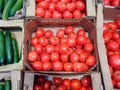 Bryansk, Russia - December 5, 2019: Showcase with vegetables in the Perekrestok store. Box with juicy ripe red tomatoes