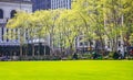 Bryant Park, New York Manhattan. Fresh Green Lawn And Trees, Sunny Day In Spring