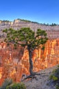 Bryce Canyon