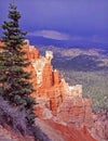 Bryce Canyon with an approaching storm