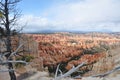 Bryce Canyon Snow cold day Royalty Free Stock Photo