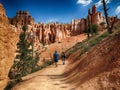 A Bryce Canyon Hiking Trail