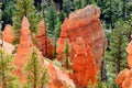 Bryce Canyon hoodoos