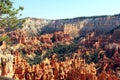 Bryce Canyon hoodoos Royalty Free Stock Photo