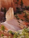 Bryce Canyon Hoodoos Closeup Royalty Free Stock Photo