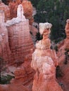 Bryce Canyon Hoodoos Closeup Royalty Free Stock Photo