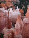 Bryce Canyon Hoodoos Closeup Royalty Free Stock Photo