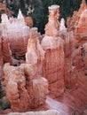 Bryce Canyon Hoodoos Closeup Royalty Free Stock Photo