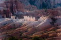 Bryce Canyon hoodoos in the first rays of sun Royalty Free Stock Photo