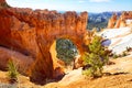 Bryce Canyon landscape Royalty Free Stock Photo