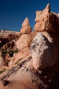 Bryce Canyon National Park Royalty Free Stock Photo