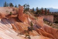 Bryce Canyon National Park Royalty Free Stock Photo