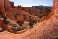 Bryce Canyon National Park Royalty Free Stock Photo