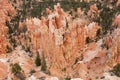 Bryce Canyon National Park Royalty Free Stock Photo