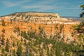 Bryce Canyon National Park Amphitheater. Sandstone Spires And Pine Tree Forest