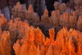 Bryce Canyon National Park Hoodoos Royalty Free Stock Photo