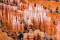 Bryce Canyon National Park, Hoodoos orange rock formations. Utah, USA Royalty Free Stock Photo