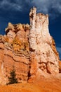 Bryce Canyon National Park Hoodoos Royalty Free Stock Photo