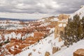 Bryce Canyon National Park Royalty Free Stock Photo