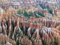 Landscape of Bryce Canyon National Park, Utah, USA Royalty Free Stock Photo