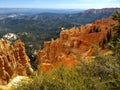 Red rocks at Bryce Canyon National Park Royalty Free Stock Photo