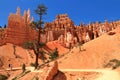 Bryce Canyon National Park, Sandstone Hoodoos along Queens Garden Trail, Southwest Desert, Utah, USA Royalty Free Stock Photo