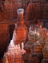 Bryce Canyon National Park, Scenic Attraction, Utah, USA Royalty Free Stock Photo