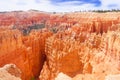 Bryce canyon Royalty Free Stock Photo