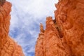 Bryce canyon Royalty Free Stock Photo