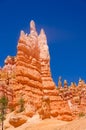 Bryce canyon Royalty Free Stock Photo