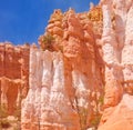 Bryce canyon Royalty Free Stock Photo