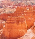 Bryce canyon Royalty Free Stock Photo