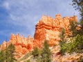 Bryce canyon Royalty Free Stock Photo