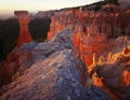 Bryce Canyon National Park Towers at Sunrise, Utah Royalty Free Stock Photo