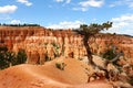 Bryce Canyon National Park is a United States National Park in Utah`s Canyon Country.